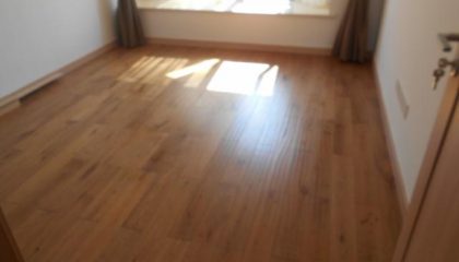 保利独墅-苏州六星彩网站装饰在建工地