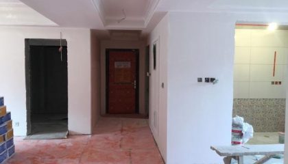 荷澜庭油漆阶段