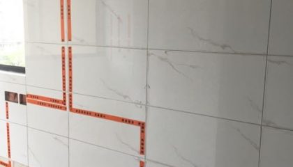 凤凰熙岸瓦工阶段