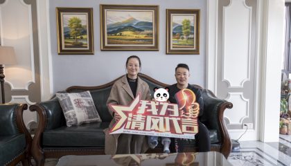 苏州万国府实景案例