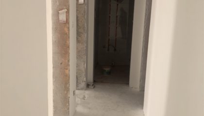 南山楠油漆阶段