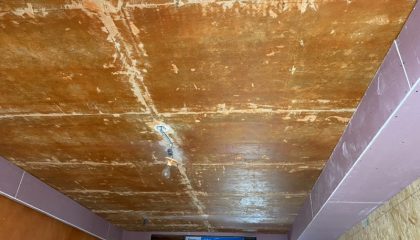 建发泱誉木工阶段