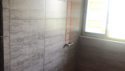 幸福未来花园瓦工阶段