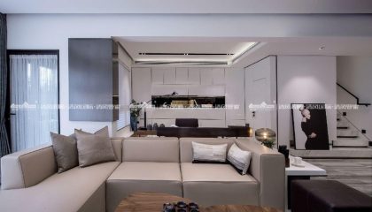 苏州荷澜庭实景案例