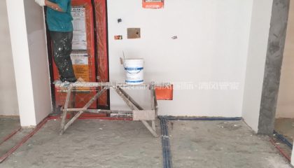 苏州橄榄湾油漆阶段