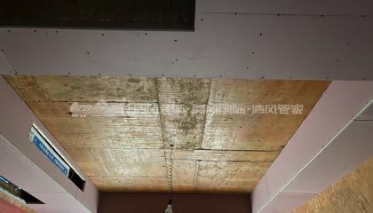 苏州雅居乐木工阶段