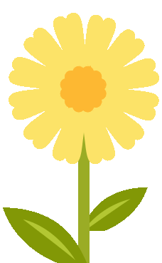 六星彩网站全案实景作品展，安心省钱有豪礼!